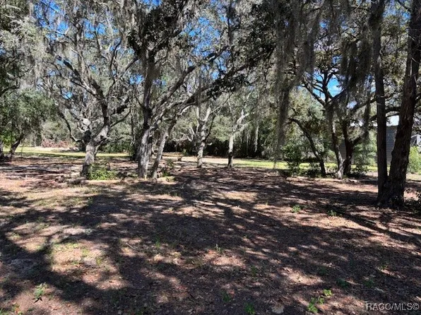 819 E Wacker St, Hernando, FL 34442