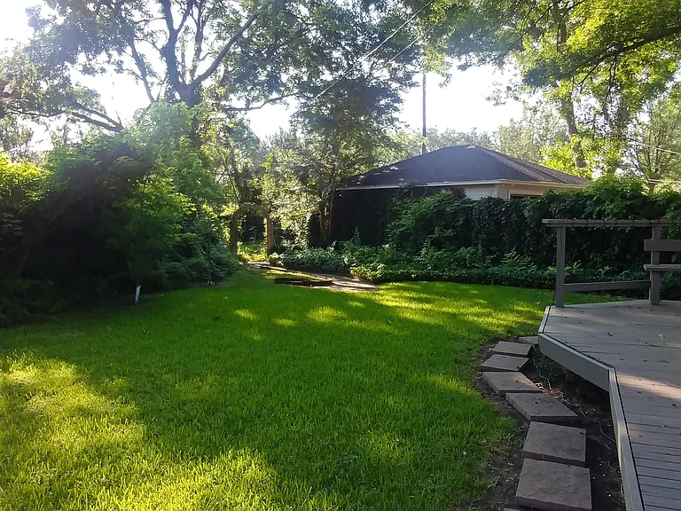 Back garden