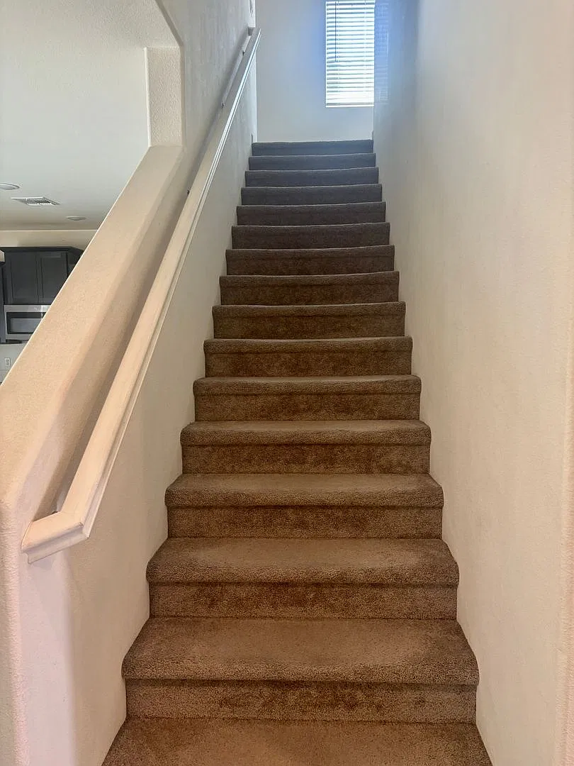 Sprawling 4/3 Newer Build Roseville Beauty! See ad for viewings! — Photo 4