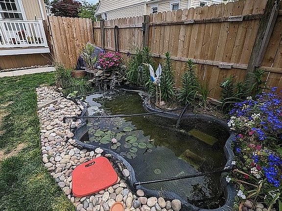 backyard pond with water fal