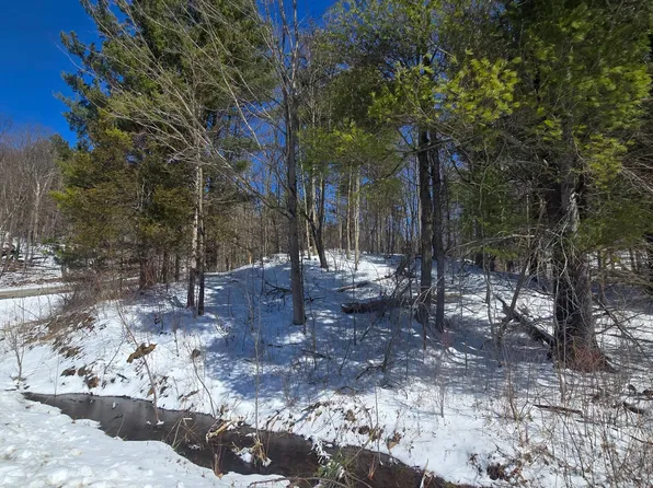 0 Williams Rd #4, Gouverneur, NY 13642