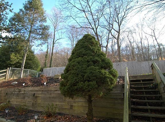 Tiers on the Backyard- Unique!