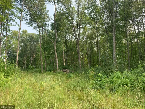 480th St, McGregor, MN 55760