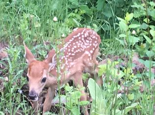 Cedar Ridge Dr, Orofino, ID 83544