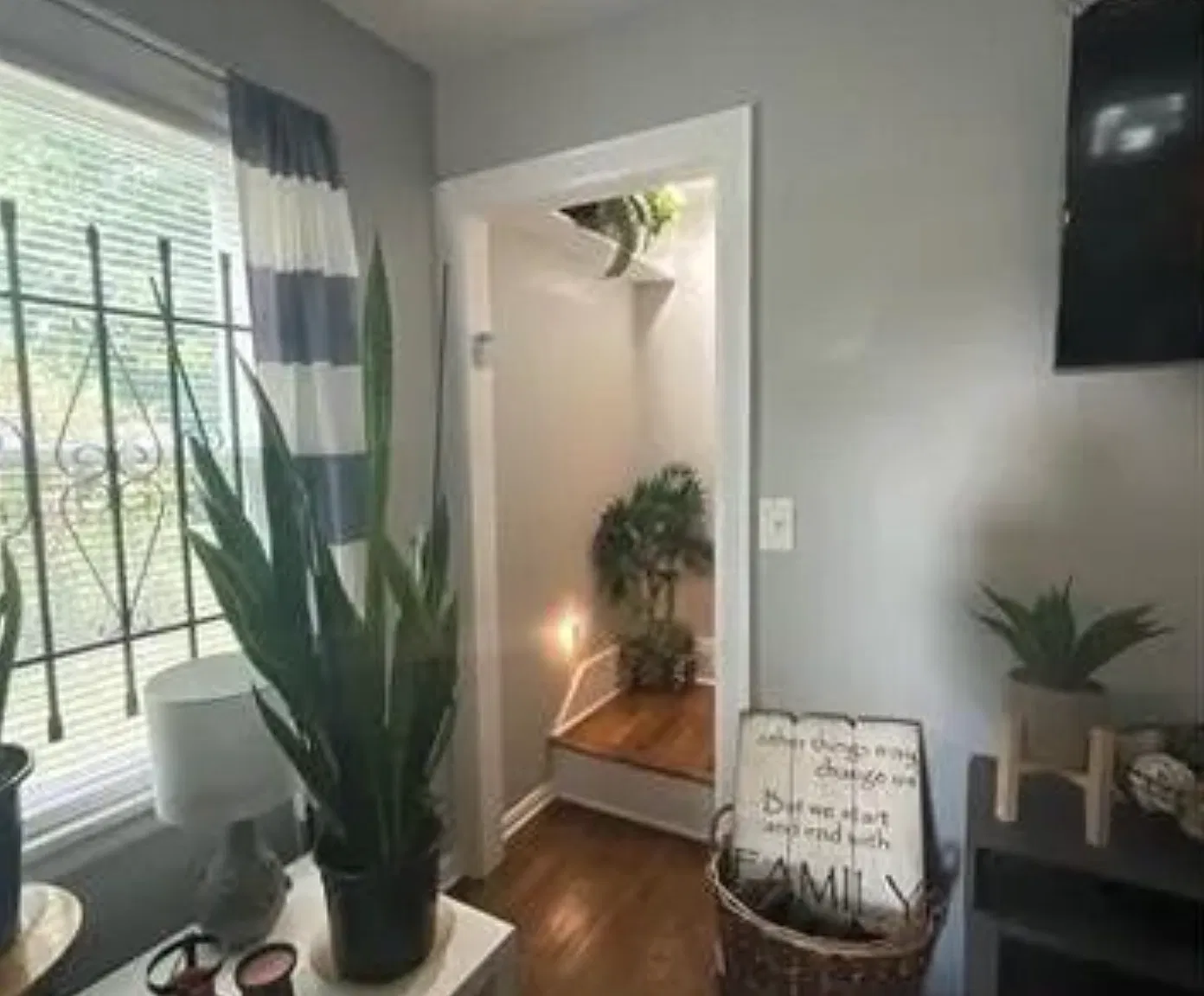 2 bed, 800 sqft, $1,550 — Photo 3
