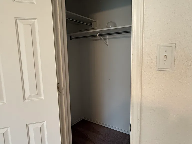 7254 Dwarf Palm — Photo 8