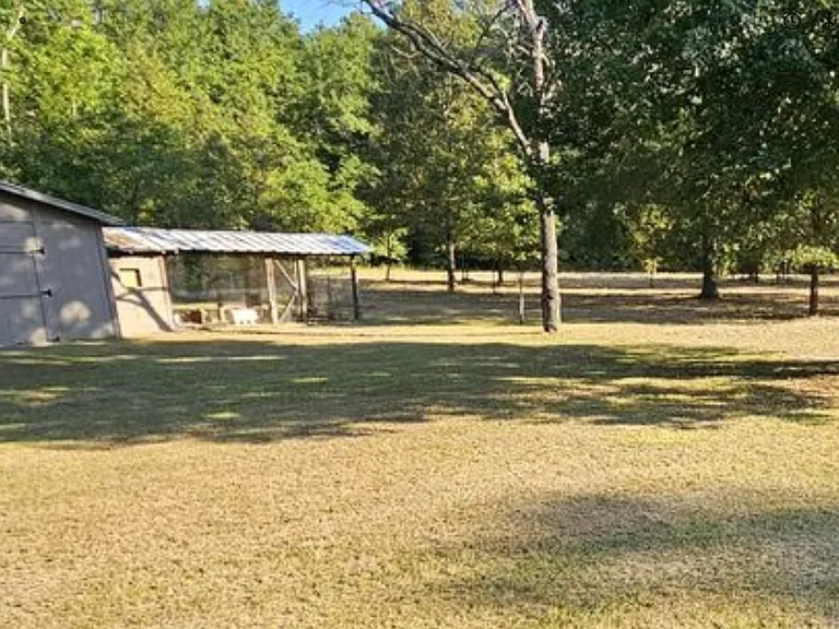4001 Mitchner Rd — Photo 9