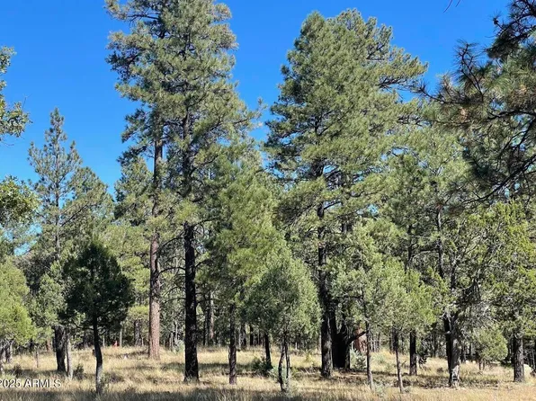 2634 SAN JUAN Drive #122, Happy Jack, AZ 86024