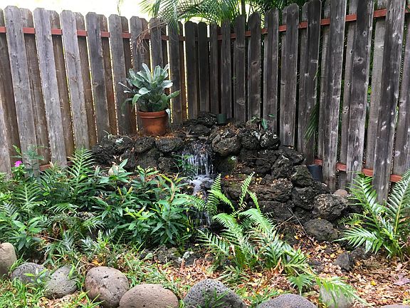 Waterfall feature in backyard
