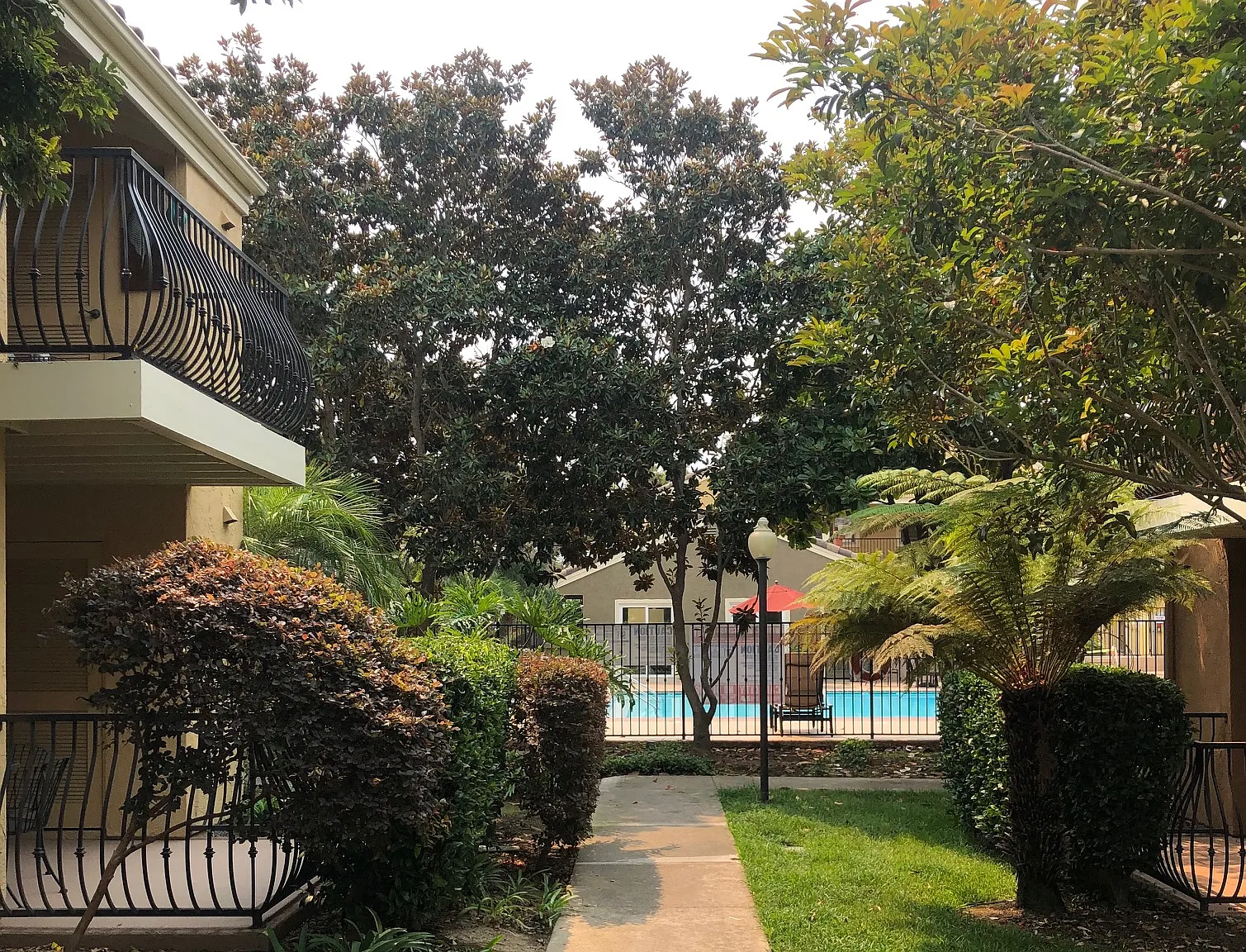 1 bed, $2,590 — Photo 1
