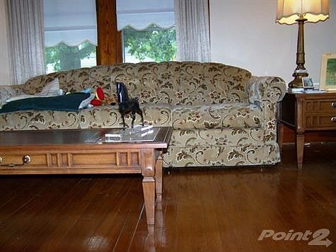 Living Room Hard Wood Large Windows