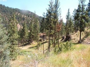 25154 Miller Mountain Rd, Canyon City, OR 97820