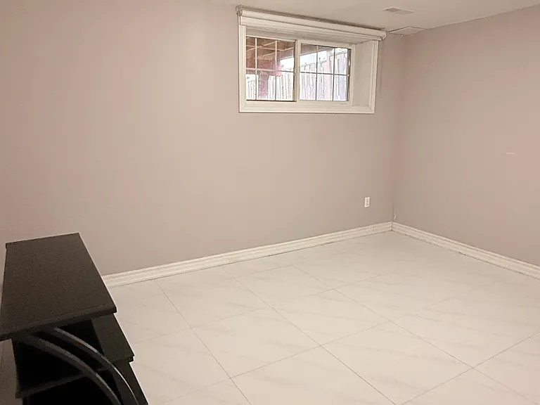4 Meandering Trl #BASEMENT — Photo 7