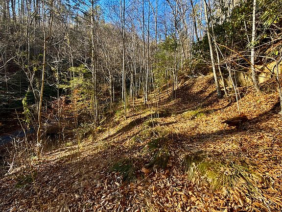 4th image of 4/AC Big Creek Rd