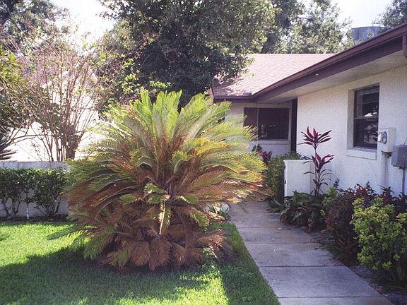 Sidewalk to entry