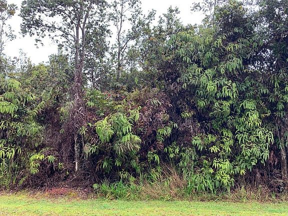 3rd image of Nahelenani St Lot 53-B