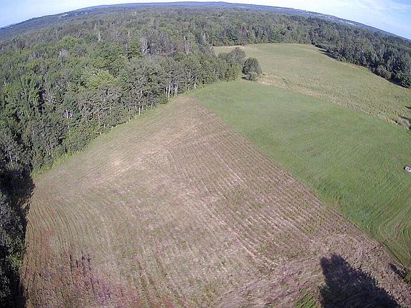 5th image of 922 Dexter Rd