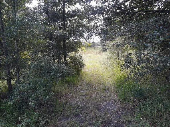 2547 State Road 50 #2, Webster, FL 33597