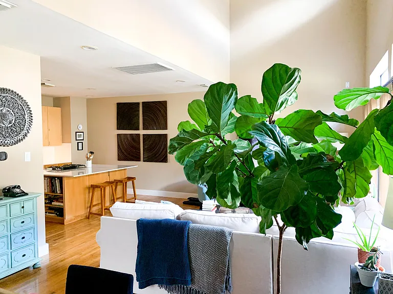 Open concept living space