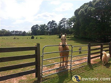 Pasture