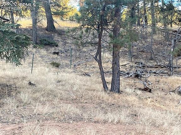2nd image of 158 Paint Pony Ln