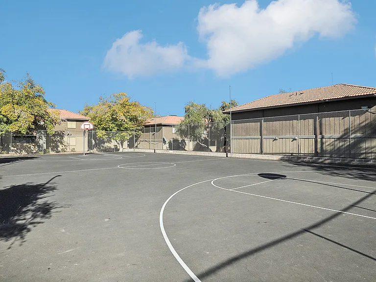 Basketball Court