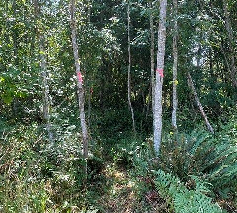 5th image of 646 Tributary Lane