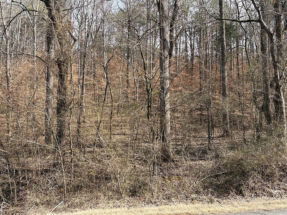2nd image of TRACT 1C Cleveland Hwy #1A