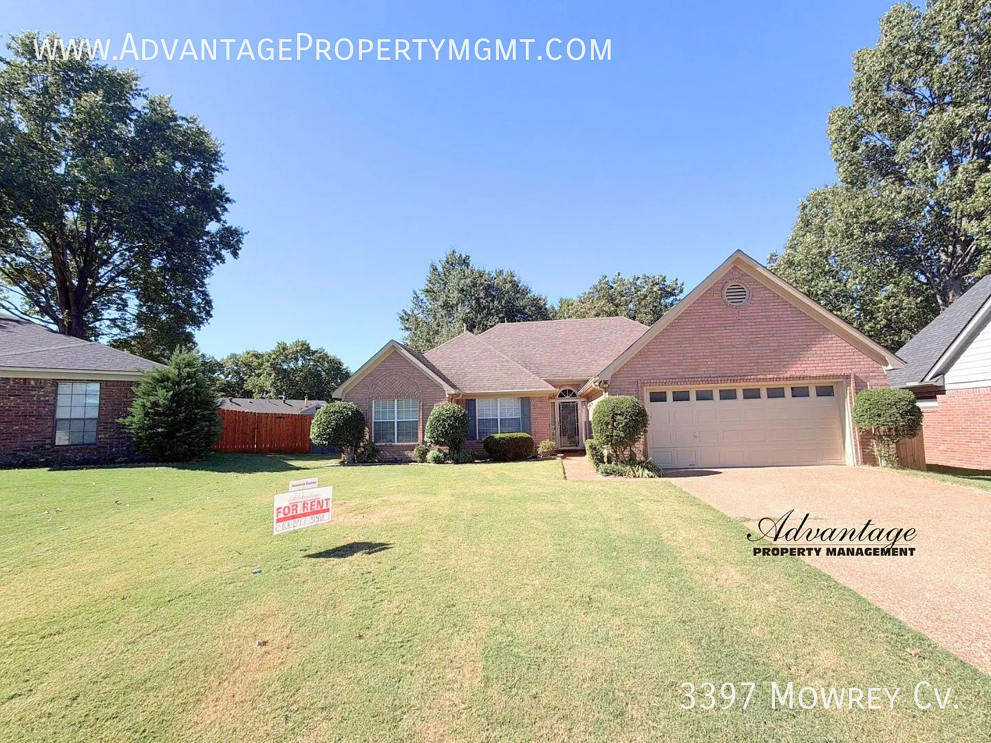 3397 Mowrey Cv. Bartlett, TN 38135 — Photo 2
