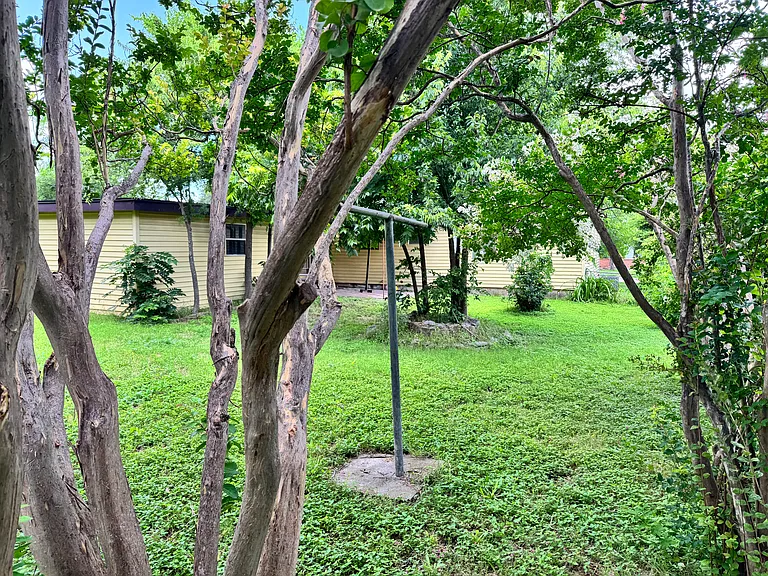 backyard