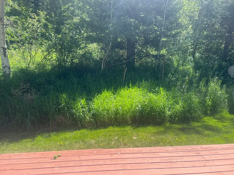 20 Lance Leaf Rd — Photo 2