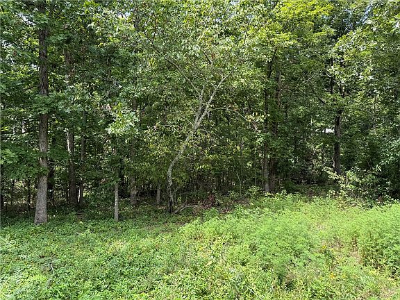 4th image of Ayr Cir #14