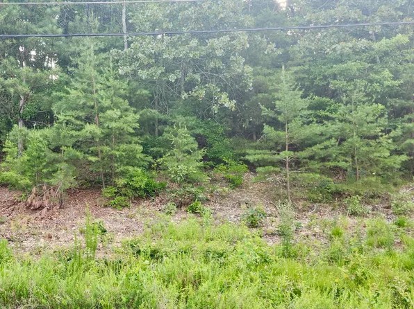 6201 Hidden Hill Rd, Harrison, TN 37341