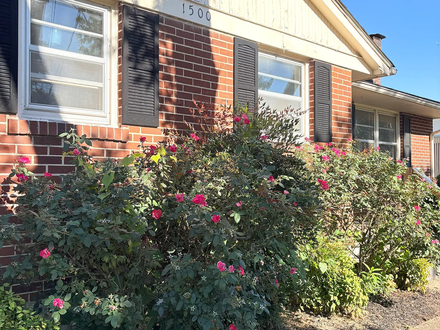 3 bed, 1114 sqft, $1,295 — Photo 2