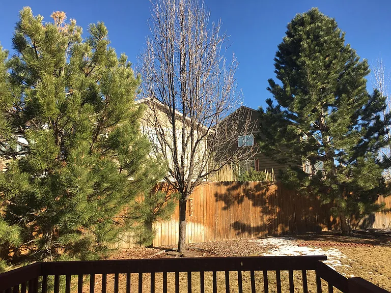3814 S Malta St — Photo 19
