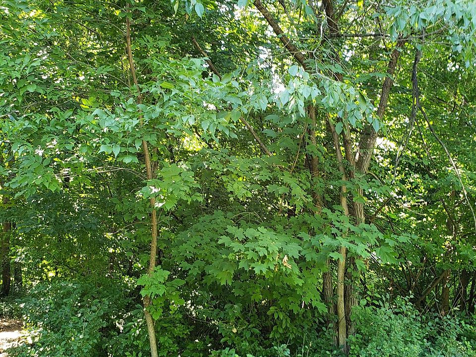 470th St, Harris, MN 55032 Zillow