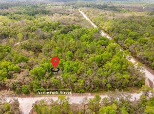 34016 Arrowrock St LOT 2, Webster, FL 33597