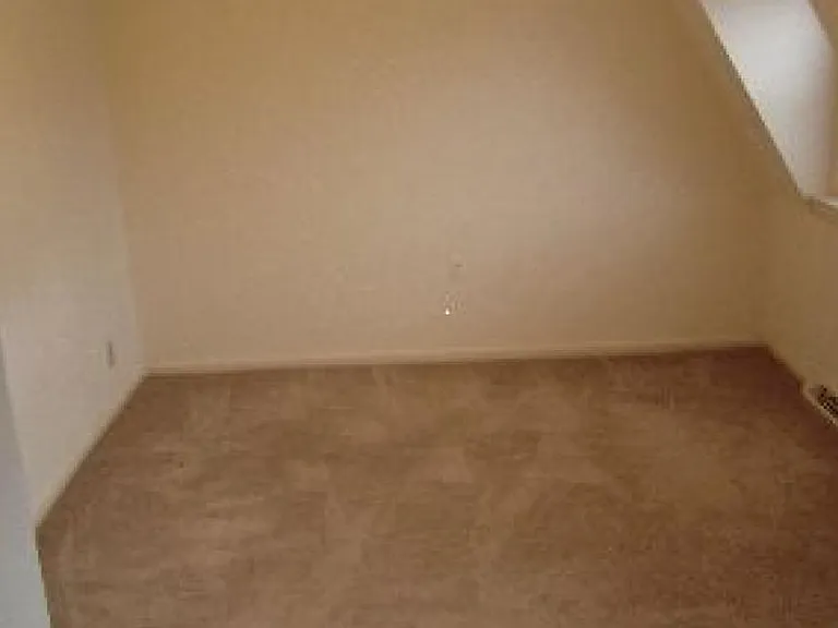 3313 Old Forest Rd — Photo 3