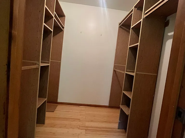 Walk-in closet in master bedroom