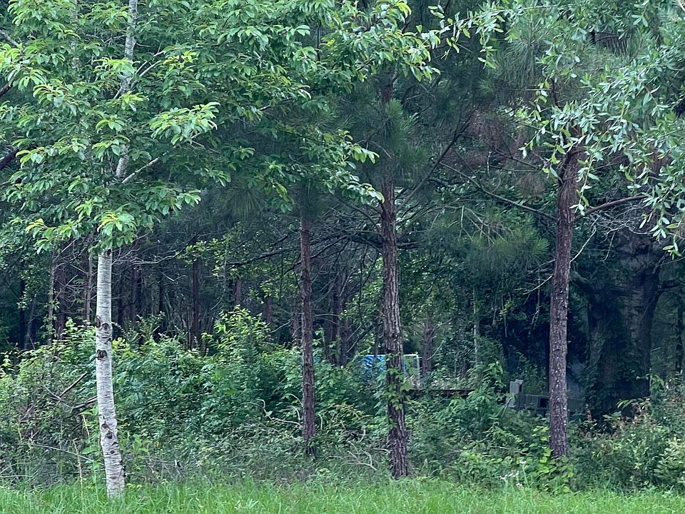 2nd image of 626 Arbor Drive SE LOT 34