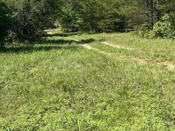 LOT 23 E Elm St, Lead Hill, AR 72644