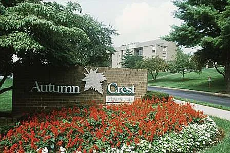Entrance Sign