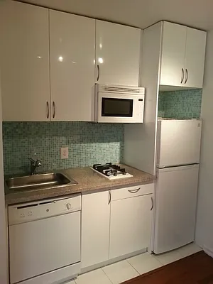 Rented by Nest Seekers International | media 23