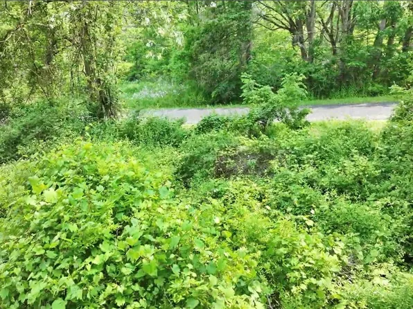 0 Drew Rd #34, Ithaca, NY 14850