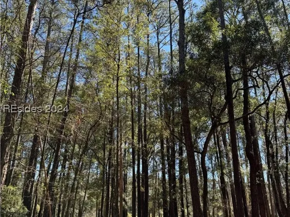 13 Masters Ct, Daufuskie Island, SC 29915