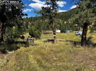 12 Spaing Canyon Ranch Rd, Florissant, CO 80816