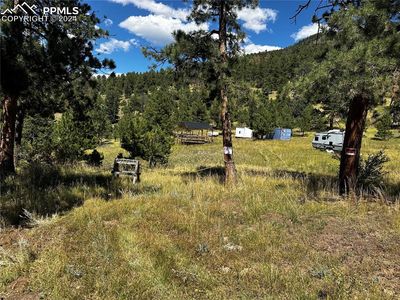 12 Spaing Canyon Ranch Rd, Florissant, CO, 80816