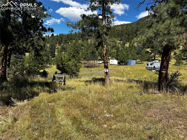 12 Spaing Canyon Ranch Rd, Florissant, CO 80816