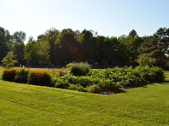 Front Property/ Garden
