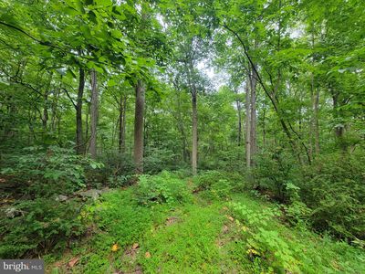 14358 Brown Rd, Sabillasville, MD, 21780
